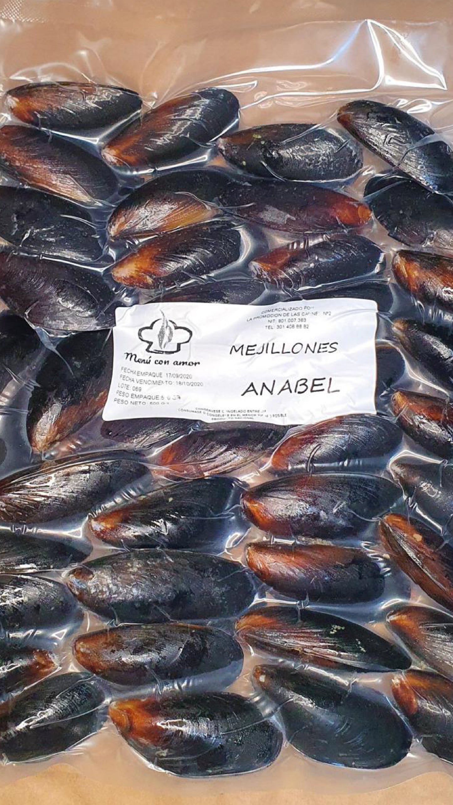 Mejillón concha