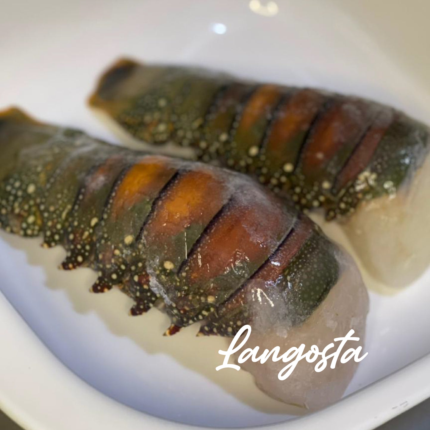 Cola de langosta